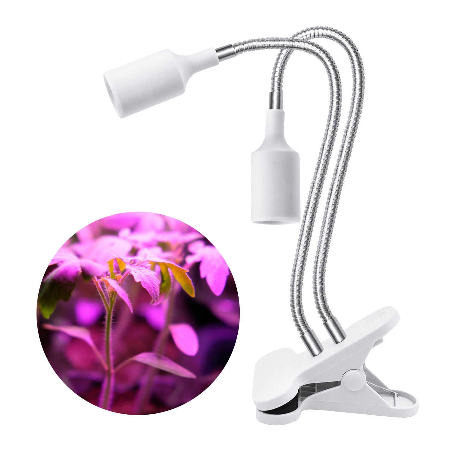 03b2d11e77436f5ae6fe715e1a36866c