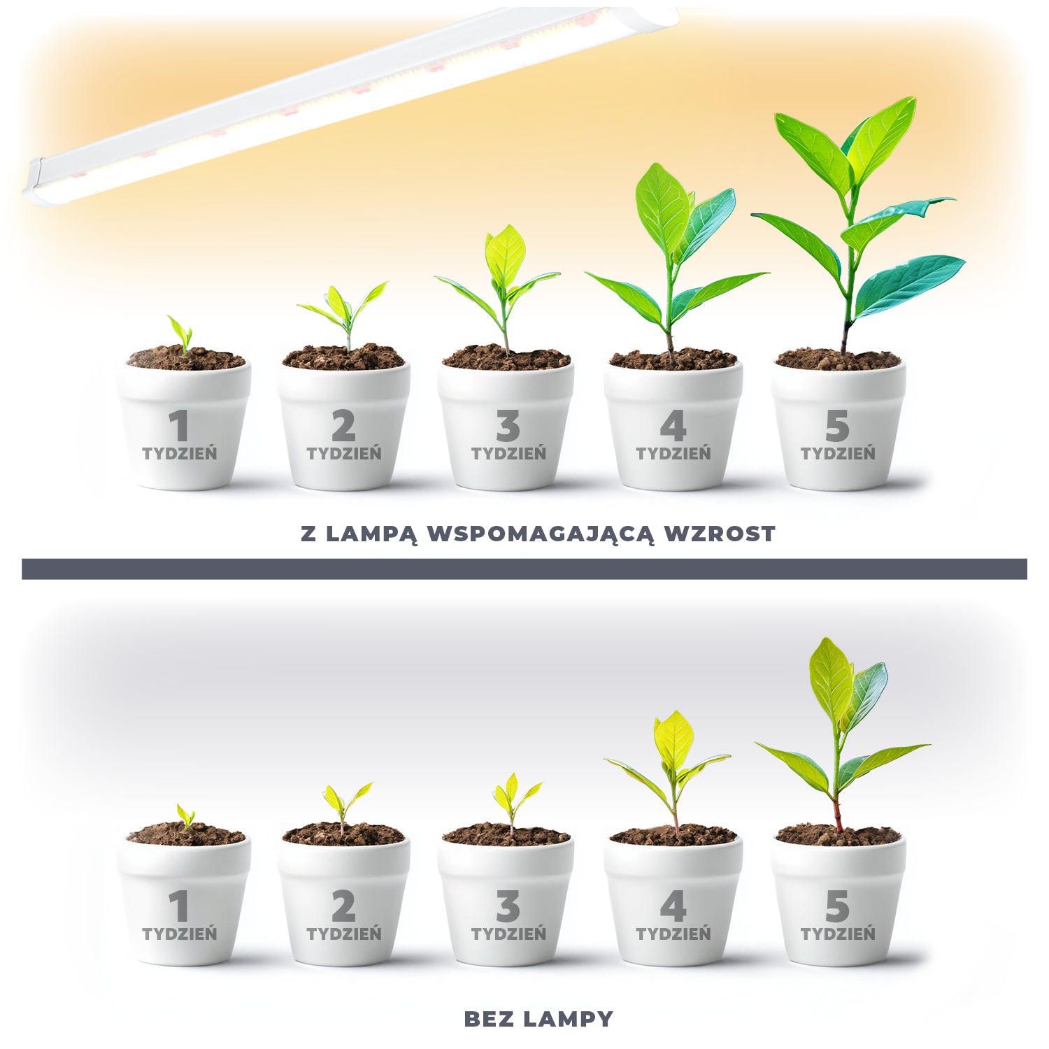 Lampa LED do Uprawy Roślin 15W Listwa 60cm Oświetlenie LED Do Wzrostu