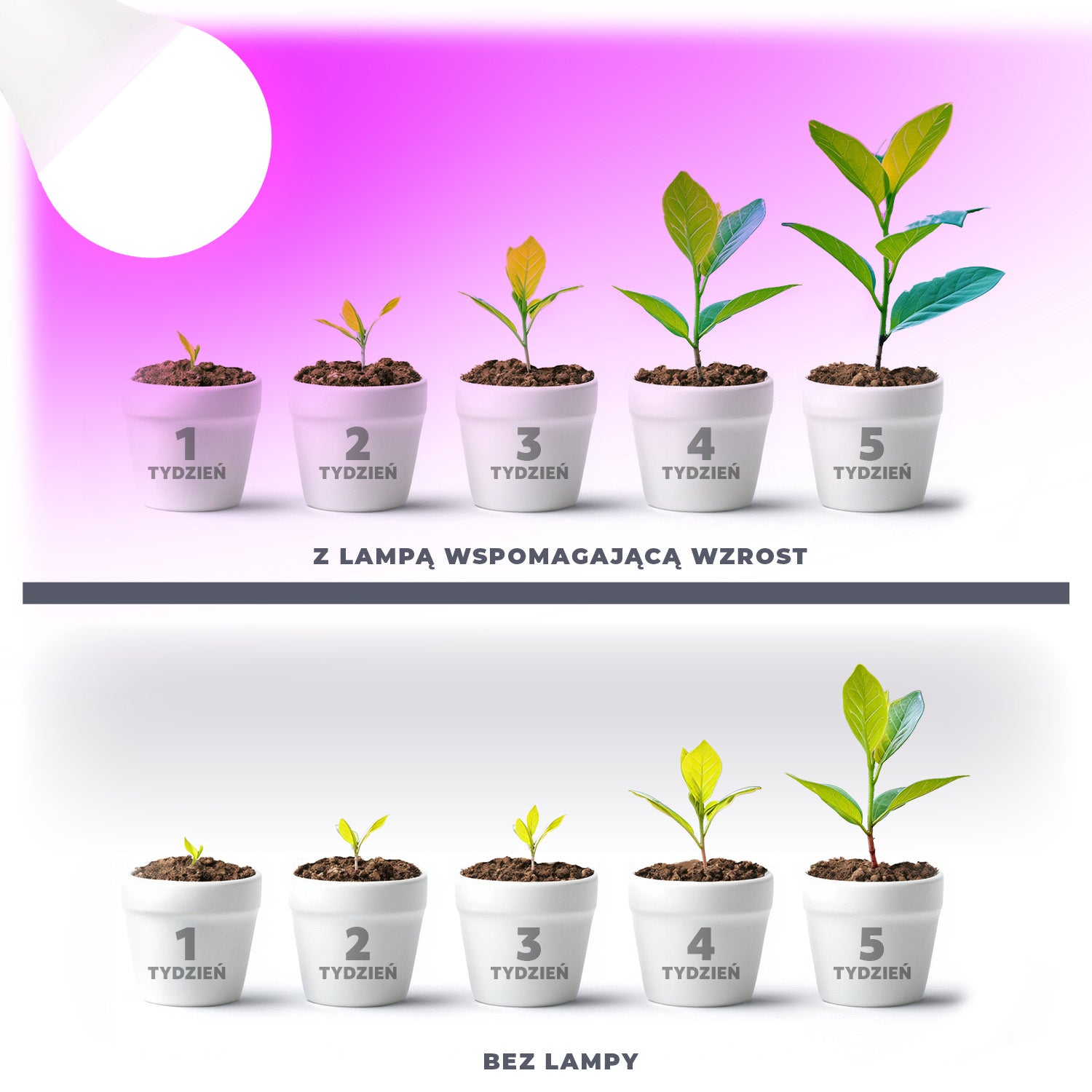 02a44b4eeb33be1a49d5b0528d20669f