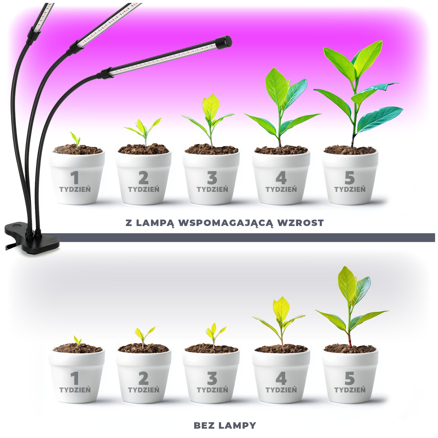Lampa LED Do Wzrostu Uprawy Roślin na Klips POTRÓJNA TIMER + ZASILACZ