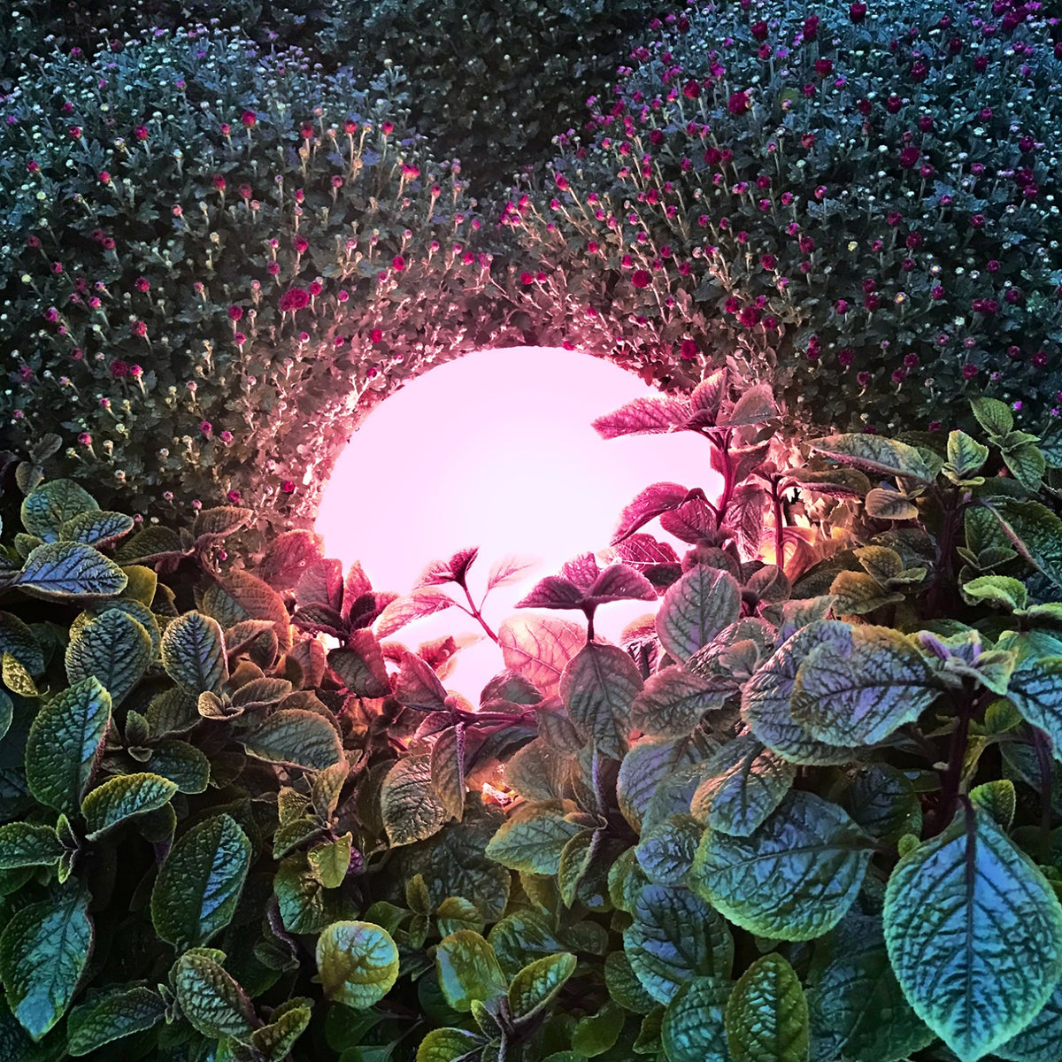 Kula LED Halloween 40 cm solarna RGB USB pilot lampa ogrodowa dekoracja