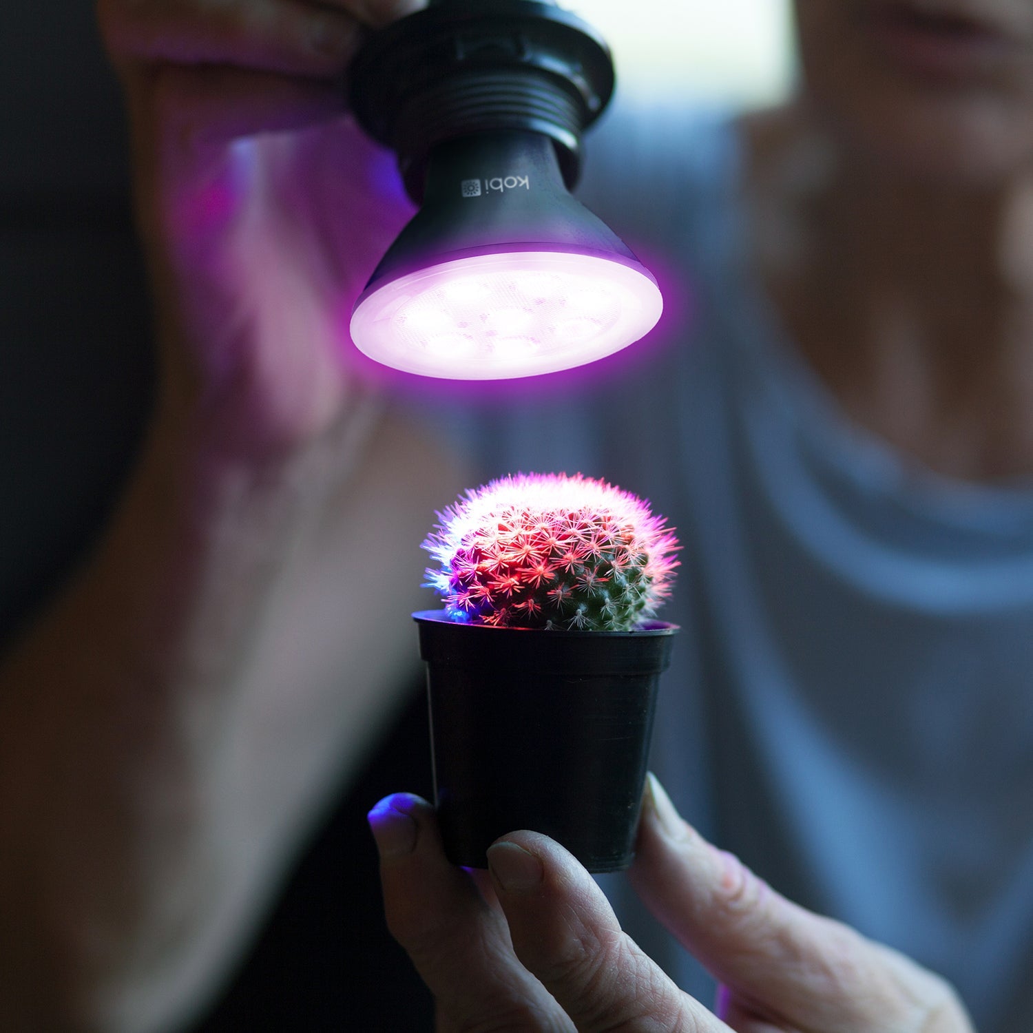 Czarna żarówka LED do uprawy roślin 7W E27 – doświetlanie, wzrost i fotosynteza, światło do roślin - LAITICA