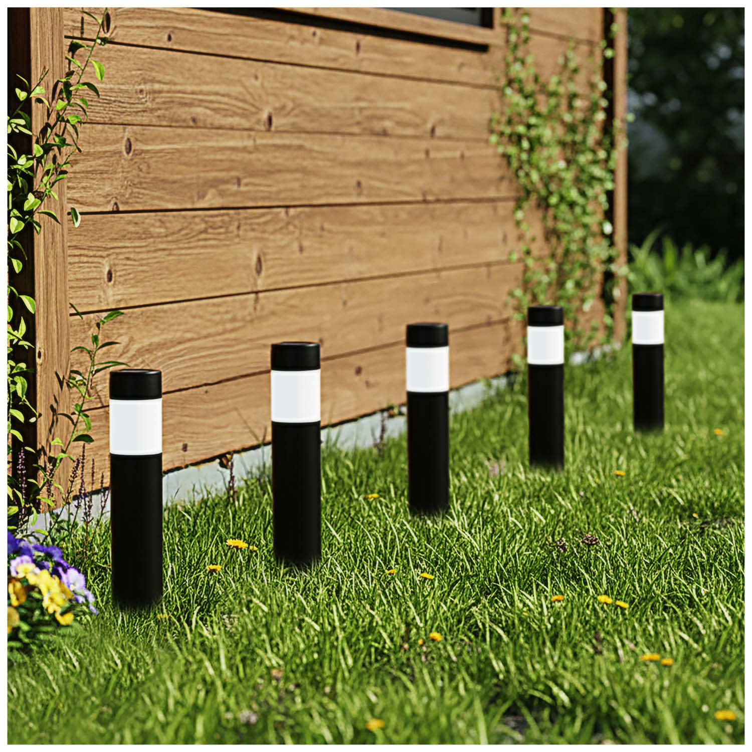 2646b5b929305168f44a6b03ab0df2c3