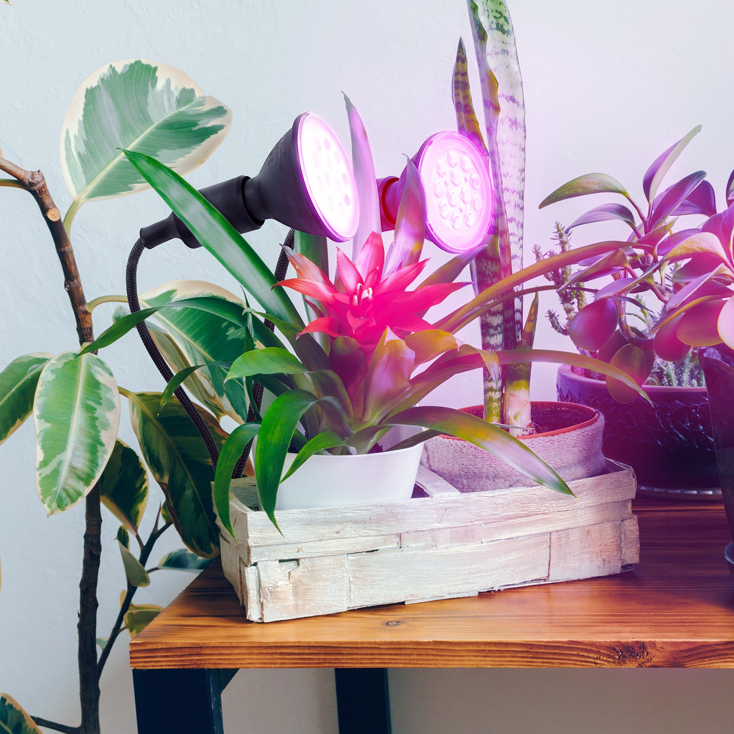 d2cfd10368a2ee13c0a4fff3c28013b0