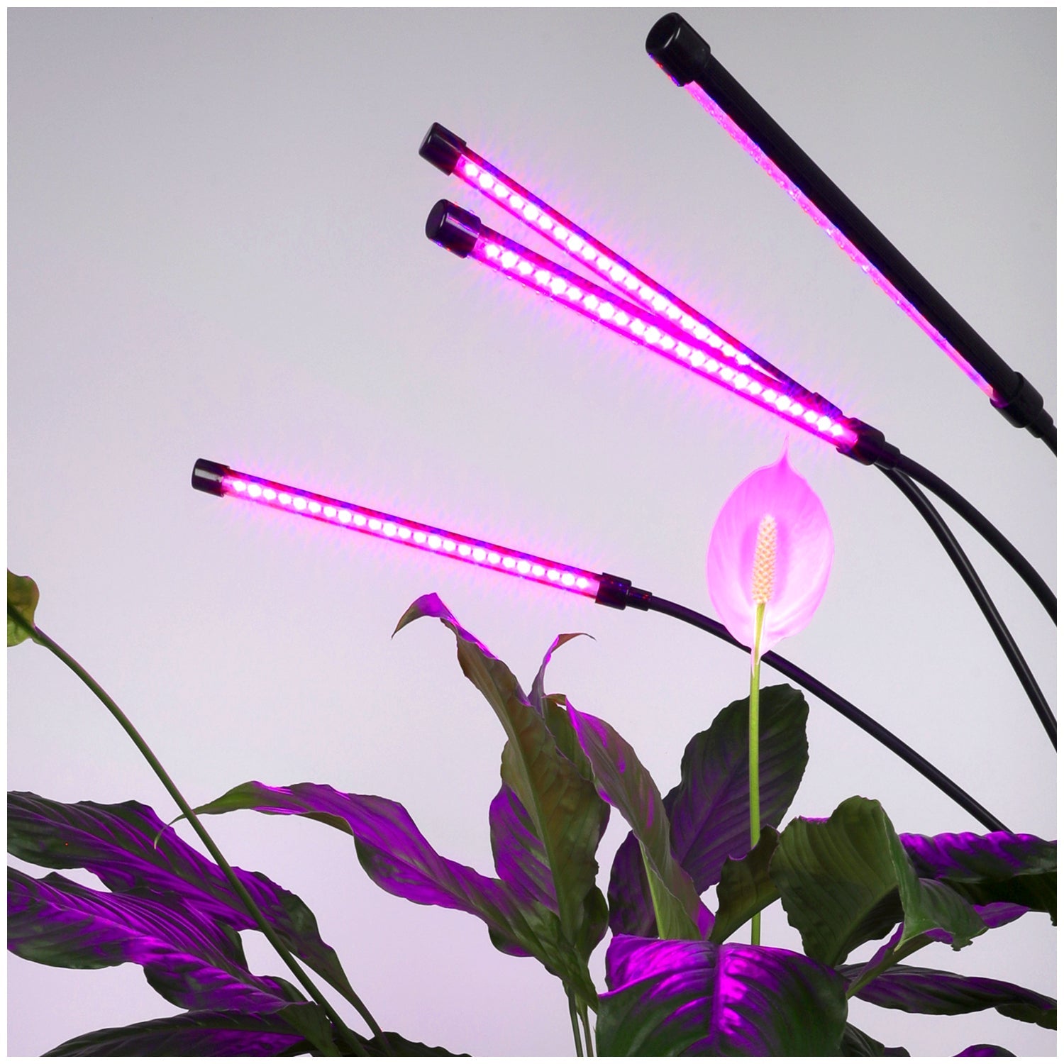 Lampa Do Uprawy Wzrostu Roślin Na Statywie Stojąca 30W TIMER + zasilacz - LAITICA