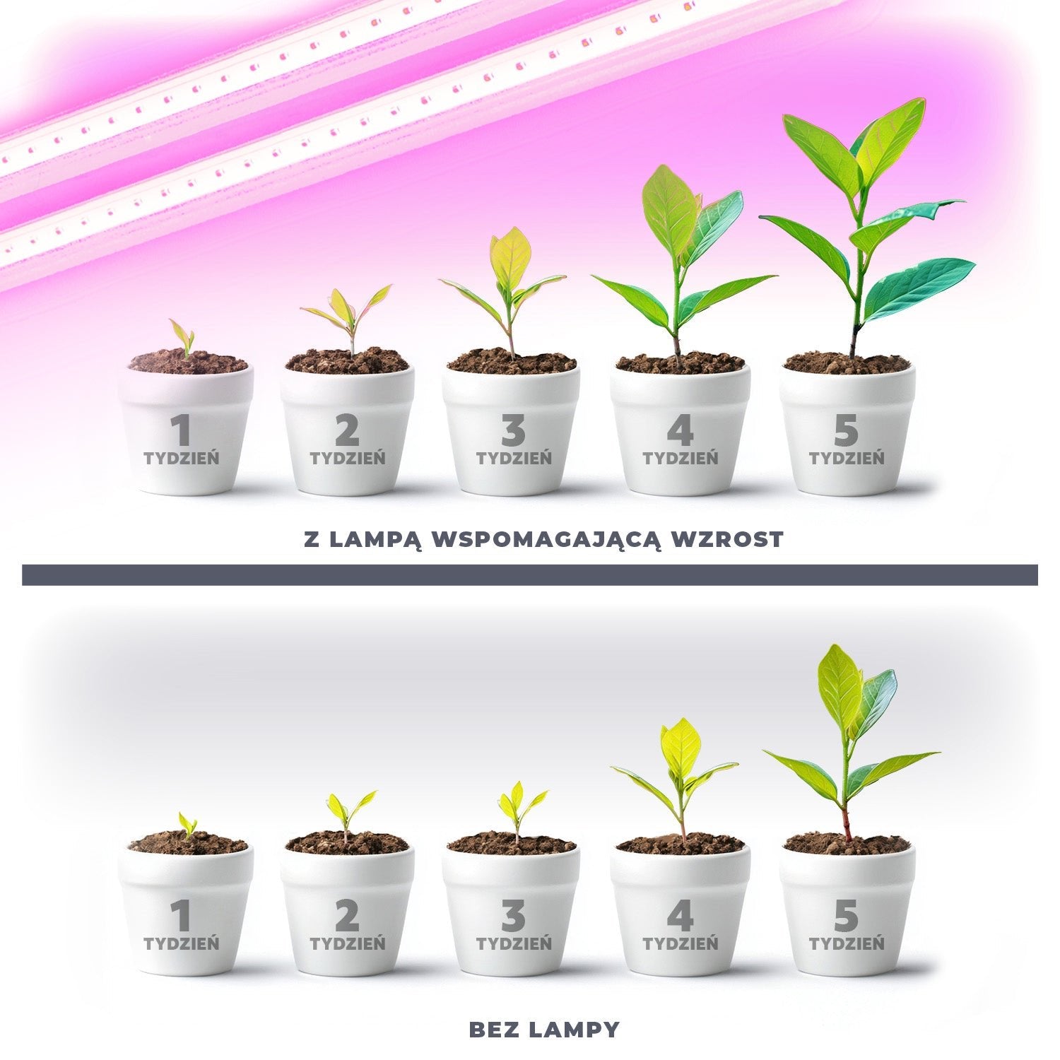 Lampa LED do roślin 17W (2x8,5W) pełne spektrum, 180° kąt świecenia, 230V, łączona do 21 szt., PPF – doświetlanie upraw domowych i growboxów - LAITICA