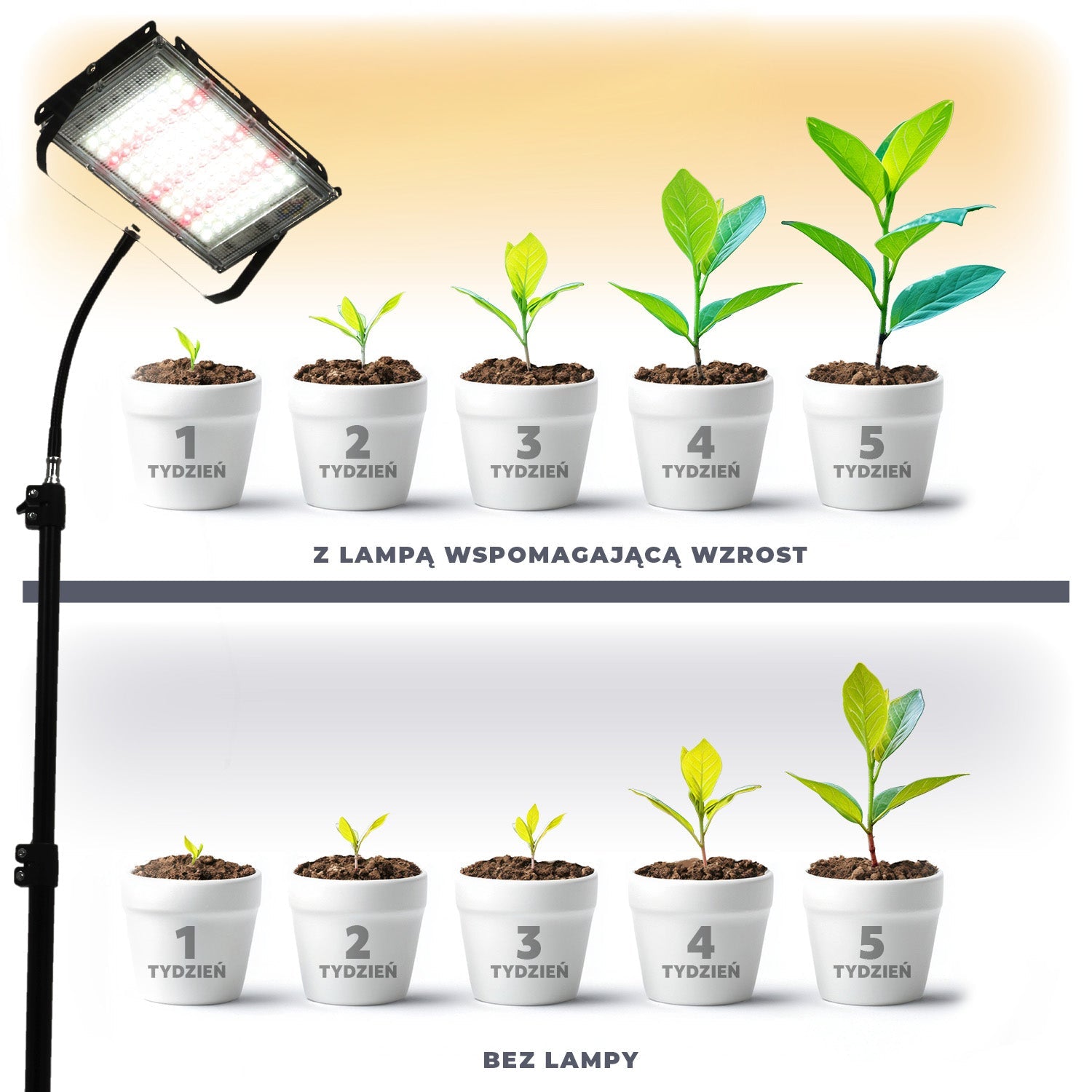 Lampa LED do roślin 45W na statywie, 5000K światło dzienne, 180° kąt świecenia, IP65 – doświetlanie roślin domowych i upraw - LAITICA