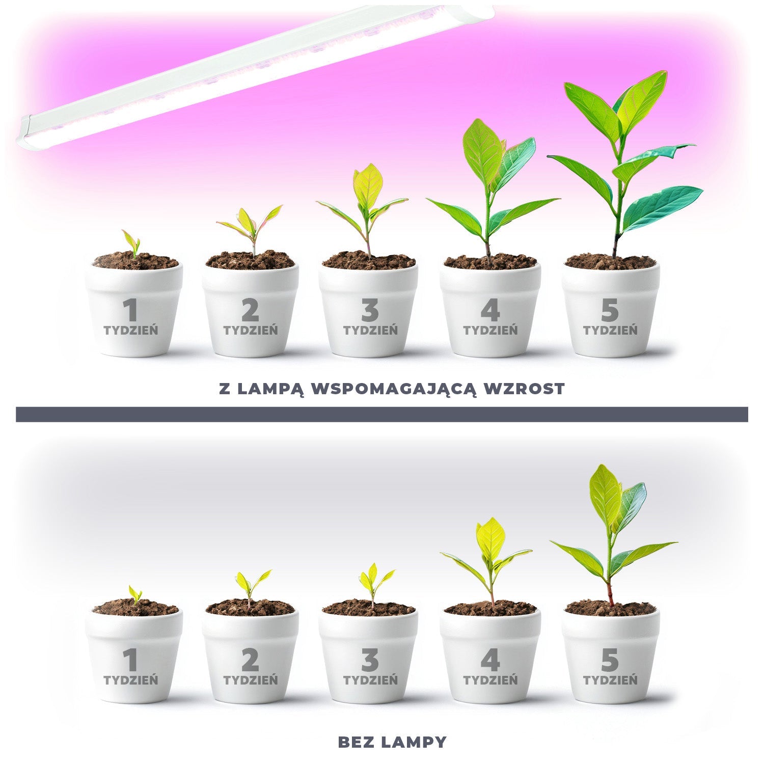 Lampa LED do roślin 9W trójpasmowa, pełne spektrum wzrostu, 180° kąt świecenia, 230V – doświetlanie roślin domowych, ziół i upraw indoor - LAITICA
