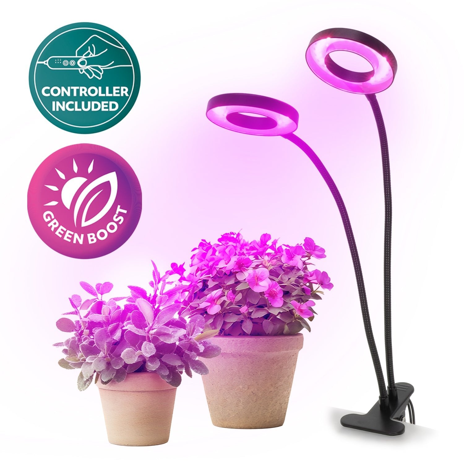 Lampa LED do roślin z klipsem 8W – wzrost i kwitnienie, 2 ramiona, timer - LAITICA