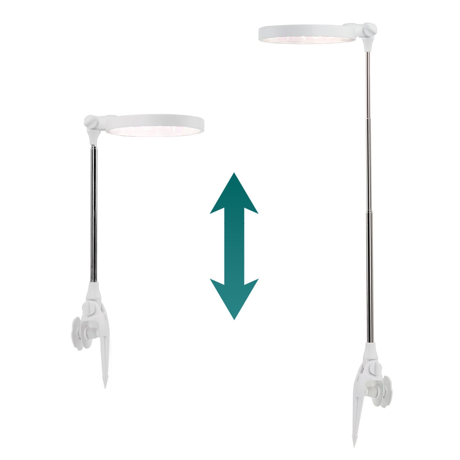 Lampa LED DO WZROSTU ROŚLIN 10W regulacja TIMER biała DO UPRAWY ściemniana - LAITICA