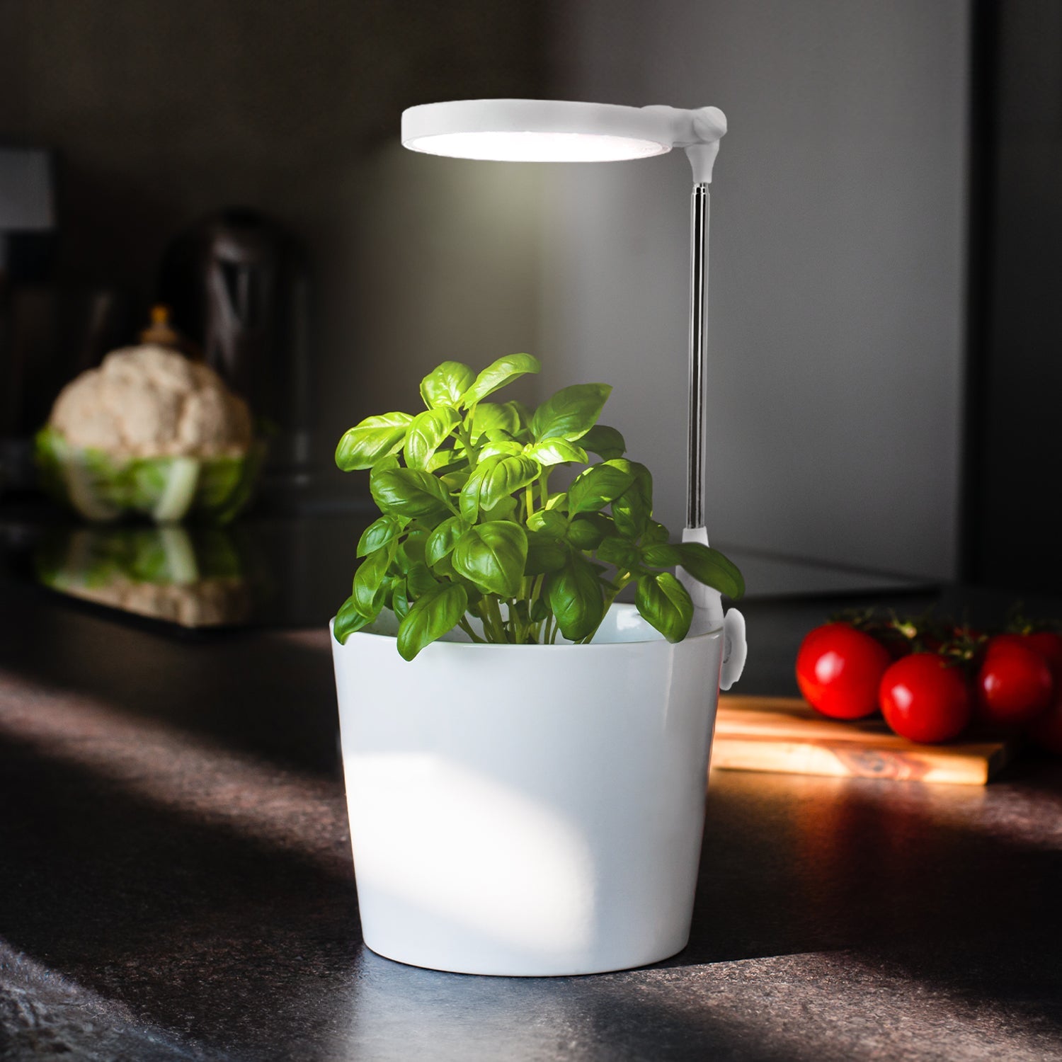 Lampa LED DO WZROSTU ROŚLIN 10W regulacja TIMER biała DO UPRAWY ściemniana - LAITICA