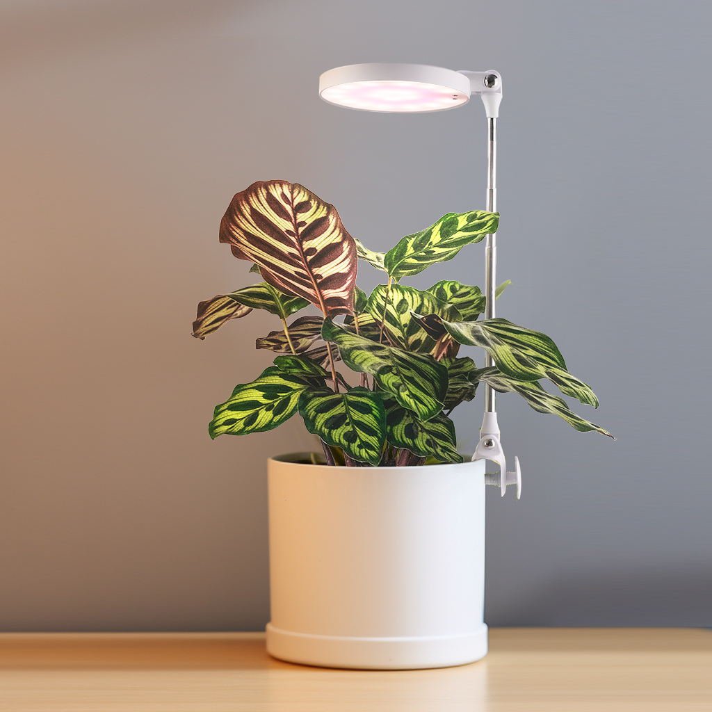 Lampa LED DO WZROSTU ROŚLIN 10W regulacja TIMER biała DO UPRAWY ściemniana - LAITICA