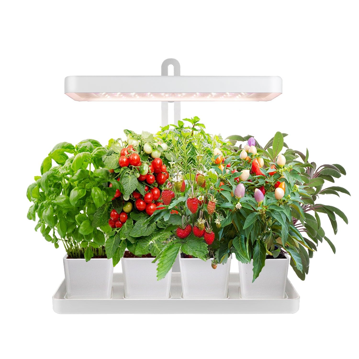 Lampa LED DO WZROSTU ROŚLIN 20W regulacja TIMER biała DO UPRAWY adapter - LAITICA