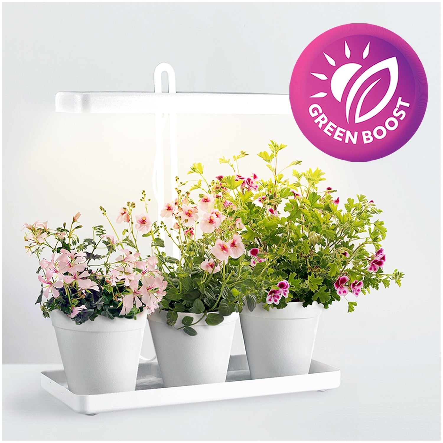 Lampa LED DO WZROSTU ROŚLIN 20W regulacja TIMER biała DO UPRAWY adapter - LAITICA