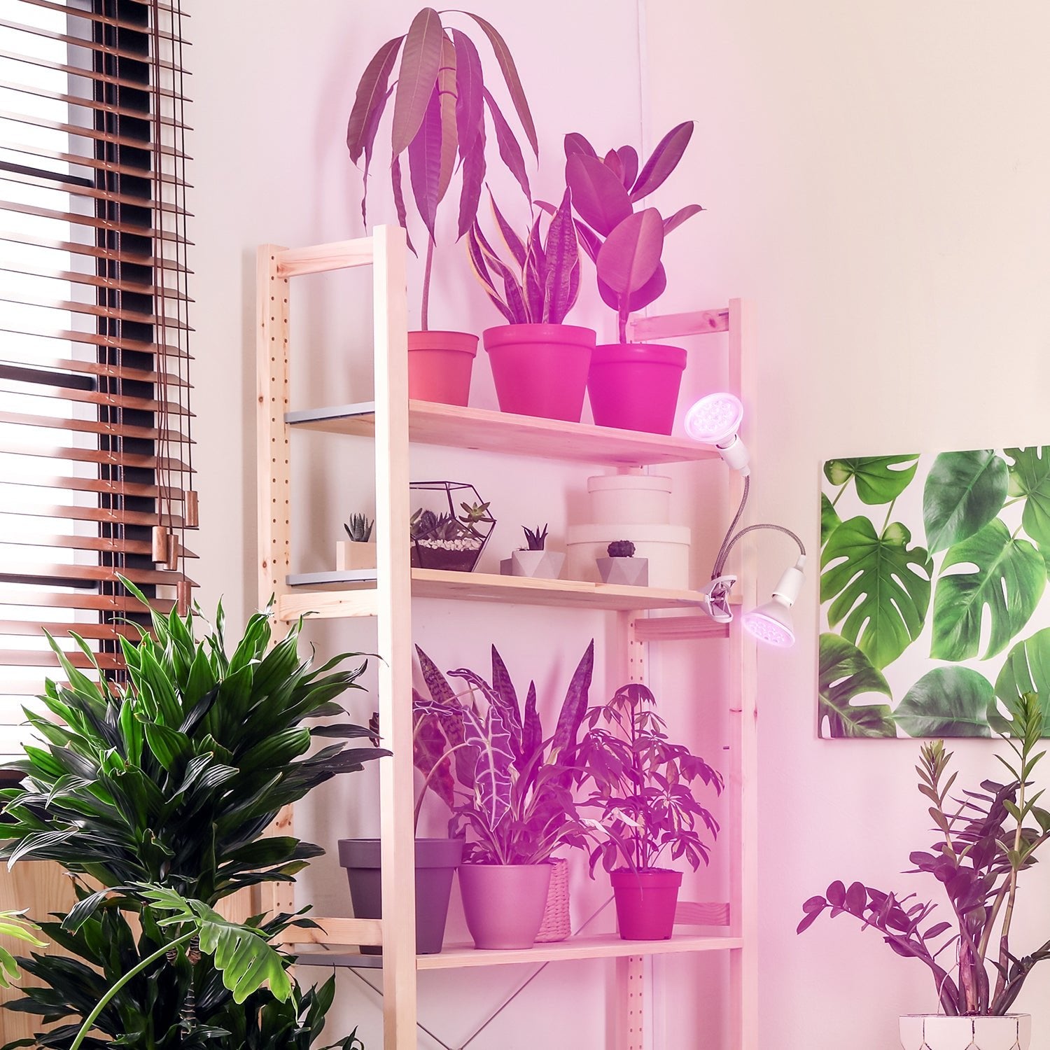 Podwójna lampa do roślin 2xE27 na klips – uchwyt na dwie żarówki, biała - LAITICA