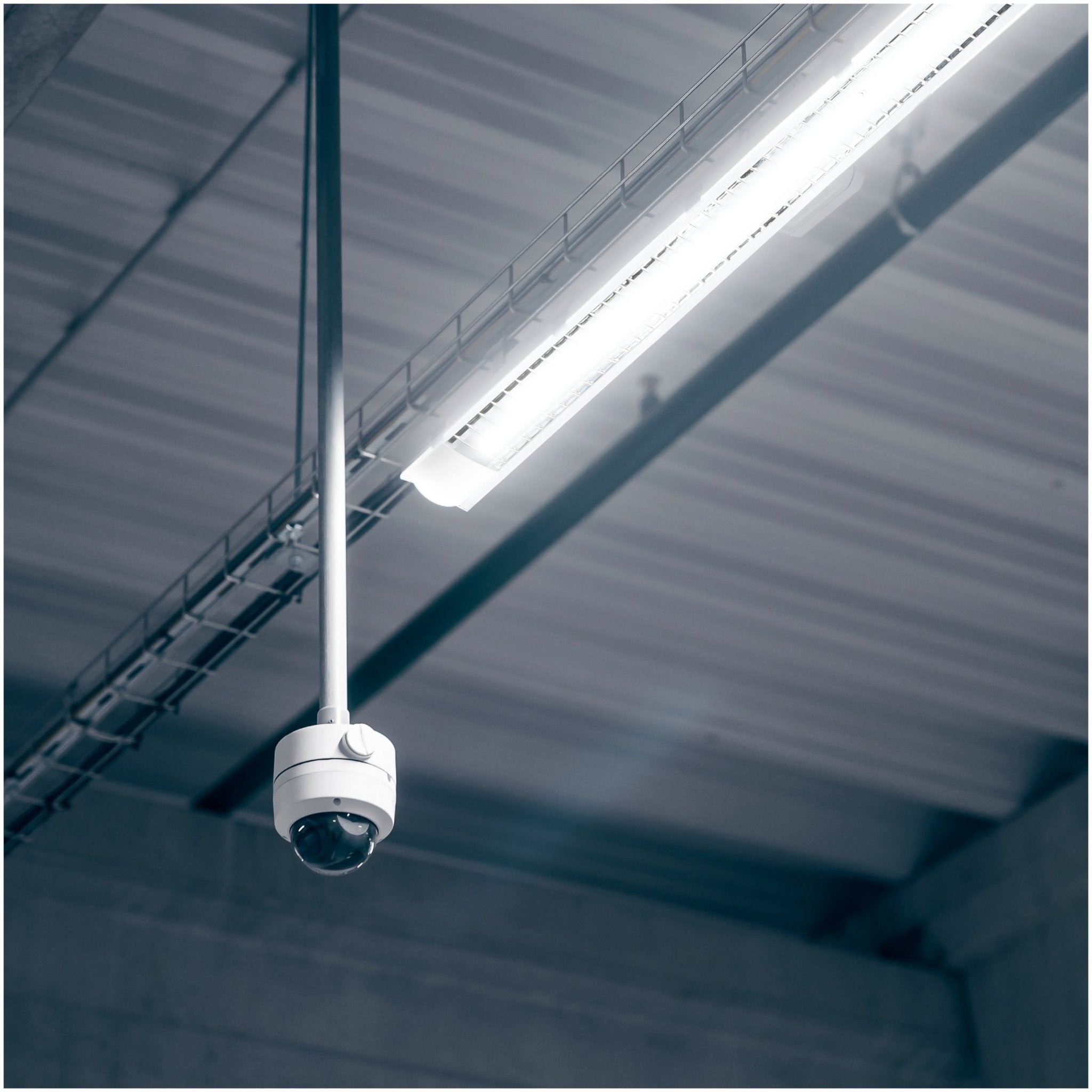 Ścienno - sufitowa oprawa LISA 1x120 na świetlówki LED T8 - LAITICA
