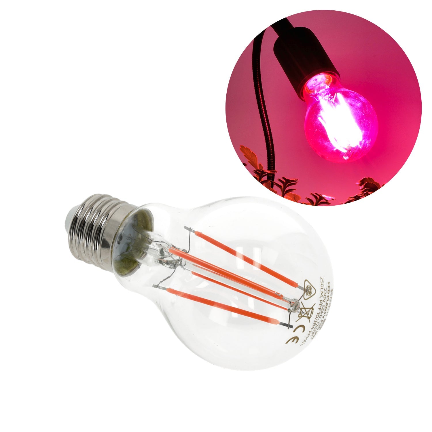 Żarówka LED E27 8W do Uprawy Roślin Lampa do Wzrostu 360 stopni - LAITICA
