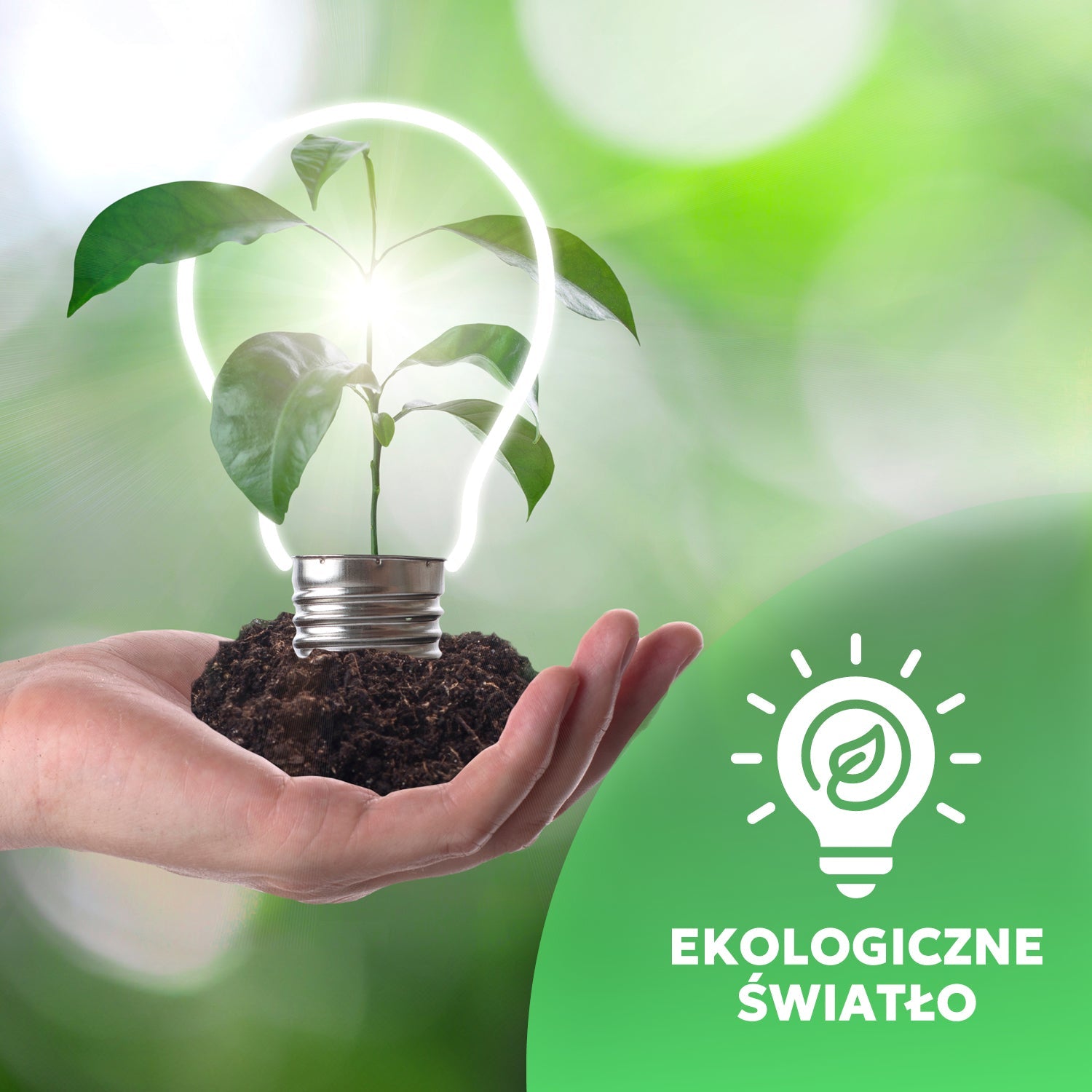 Zestaw 10x Żarówka LED GU10 5W barwa Neutralna Biała 4000K LLS - LAITICA