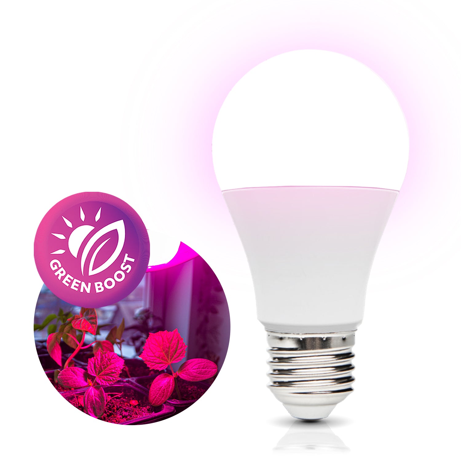 2a54a9e67de9499f35b2a7a31d1394f5