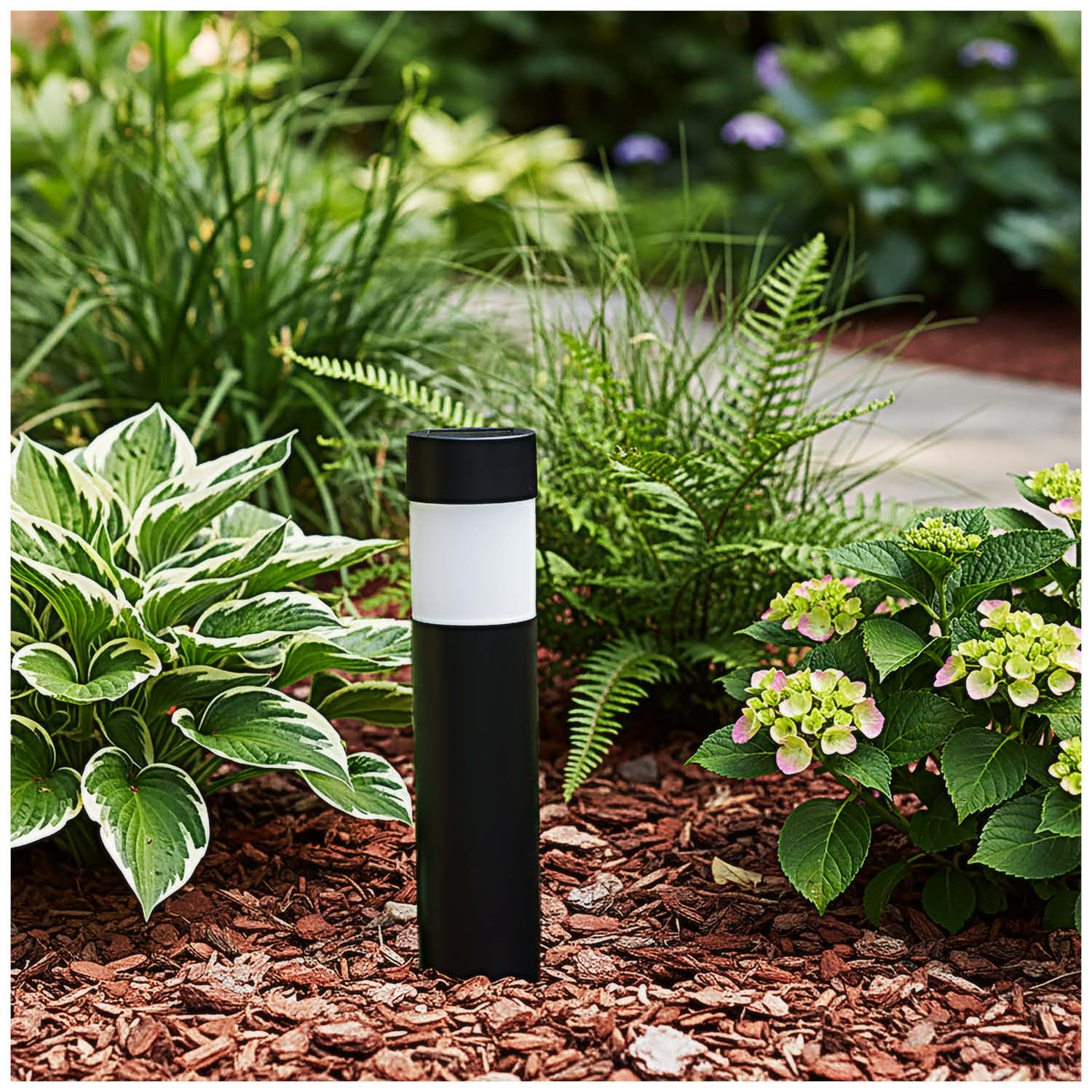 3921dc627529ab2c406e219a589c01ac