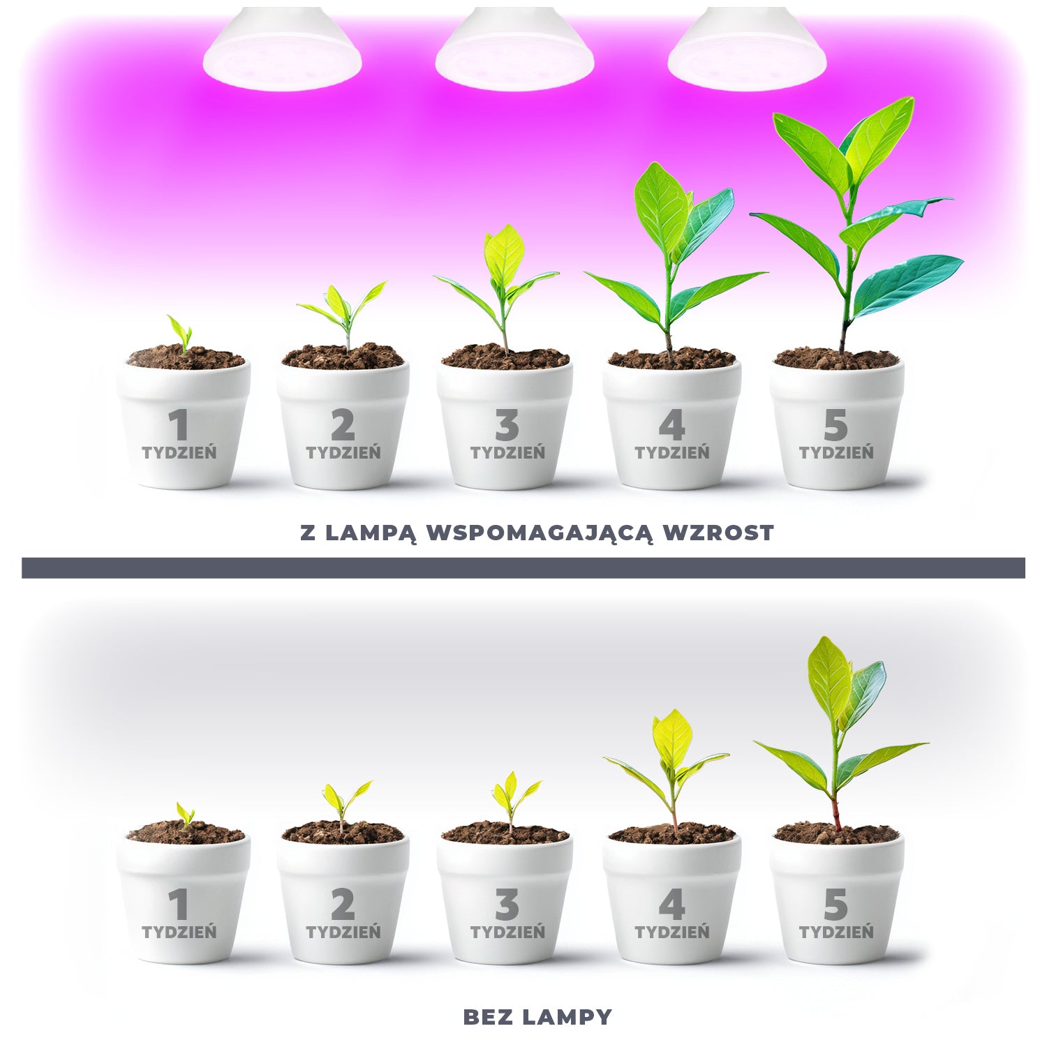 bf65a54b1801bd9f571d7932332c5b23