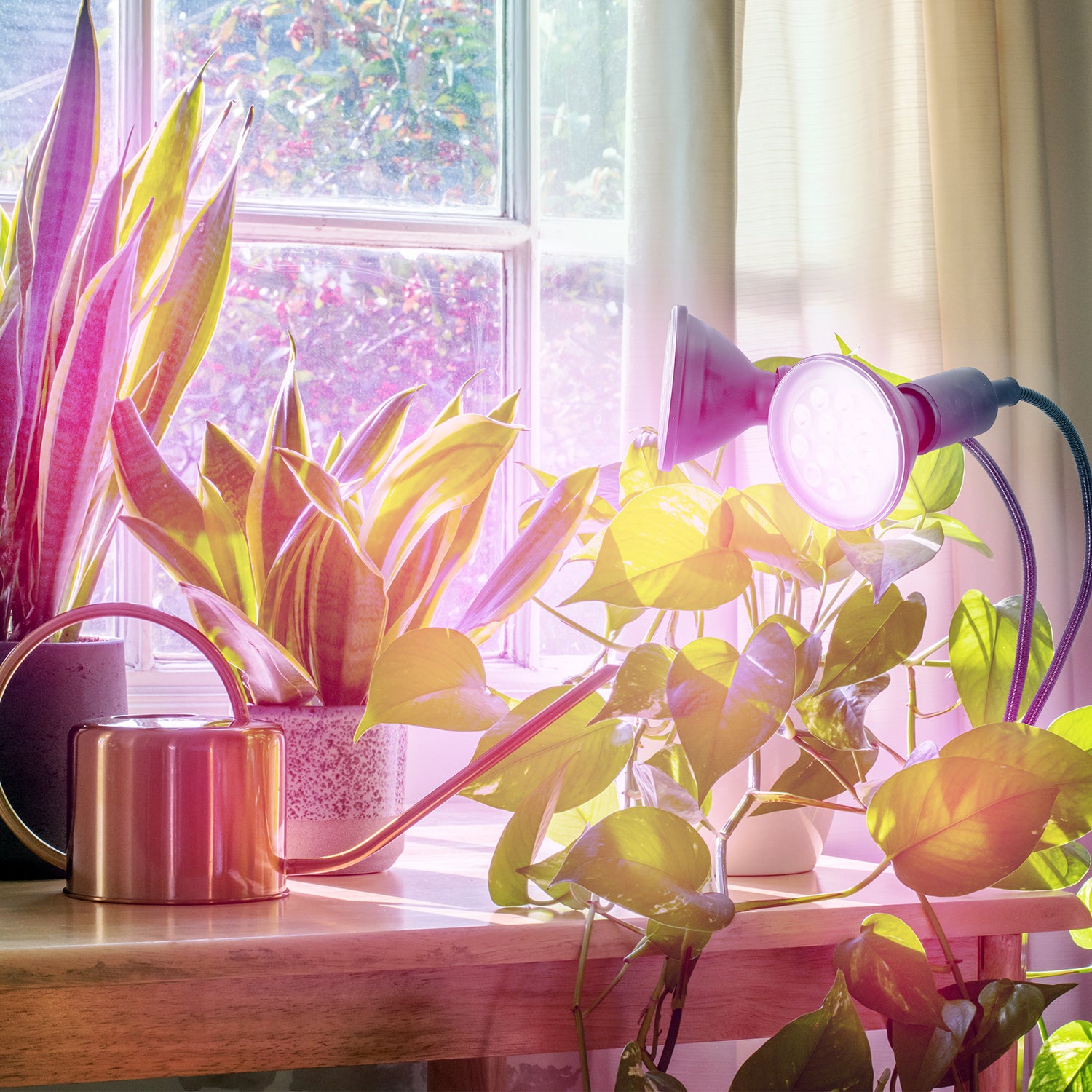 0336cca75f1caf69562c91aede4a995d