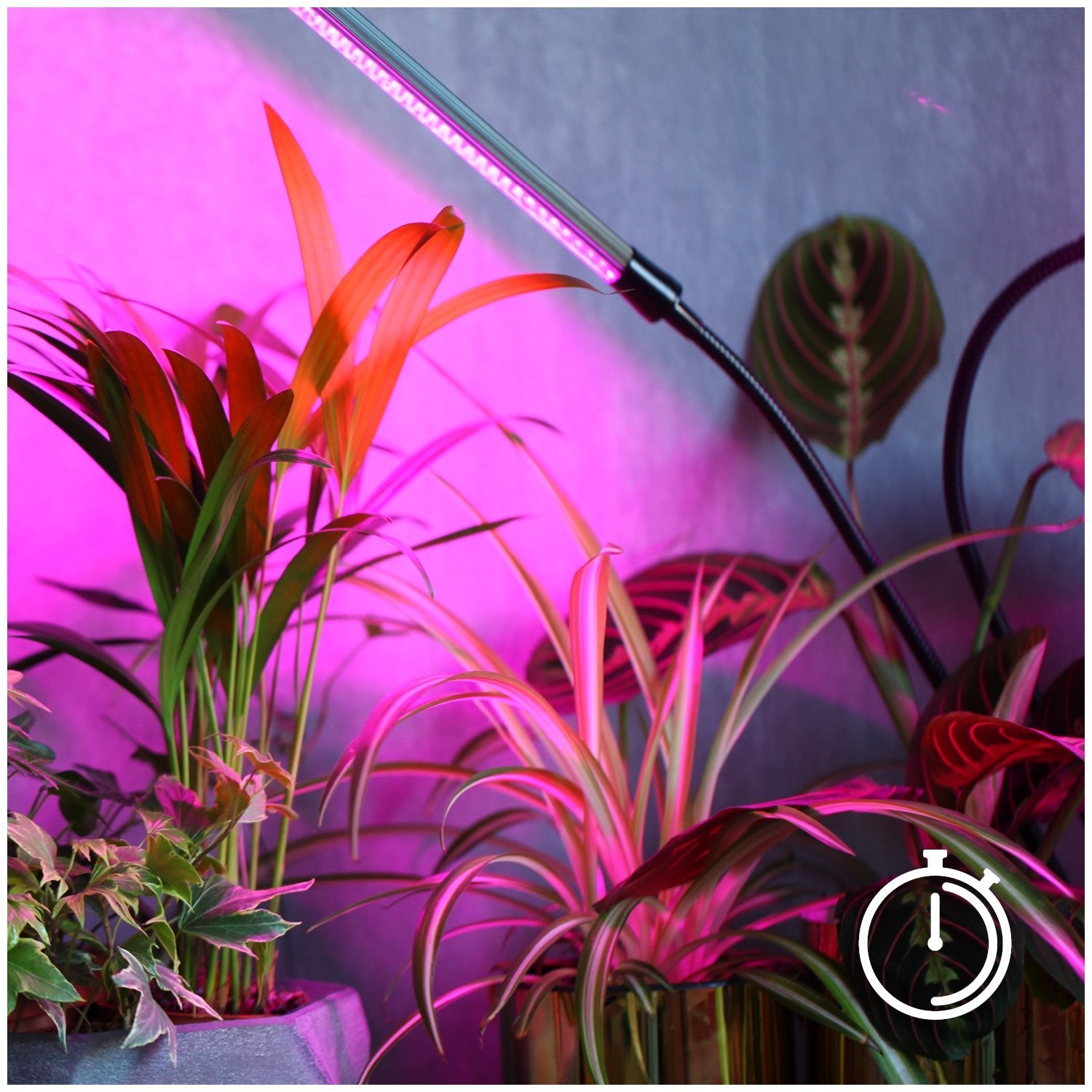 Lampa Do Uprawy Roślin Lampka LED 3 Głowice Czasomierz + zasilacz - LAITICA