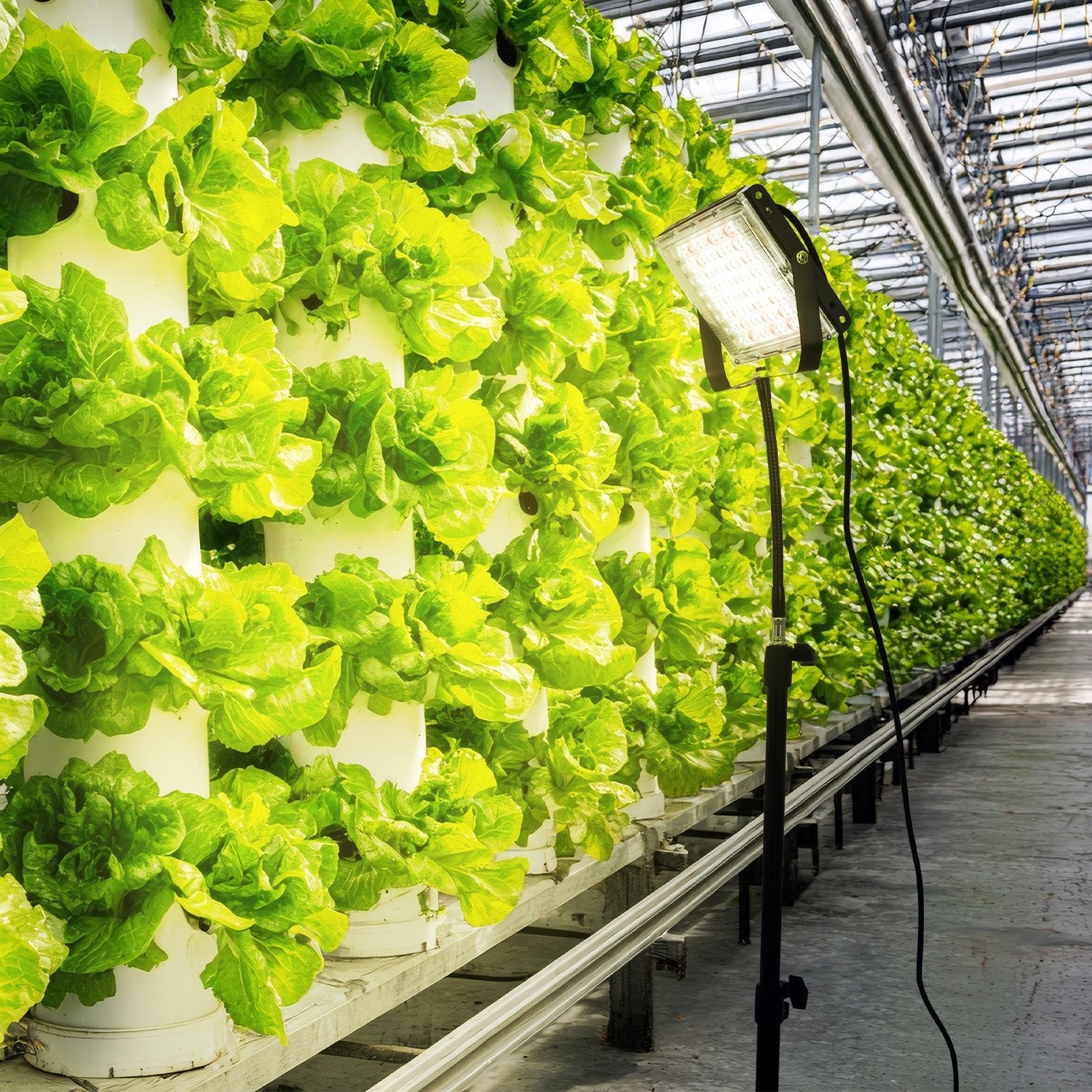 Lampa LED do roślin 45W na statywie, 5000K światło dzienne, 180° kąt świecenia, IP65 – doświetlanie roślin domowych i upraw - LAITICA