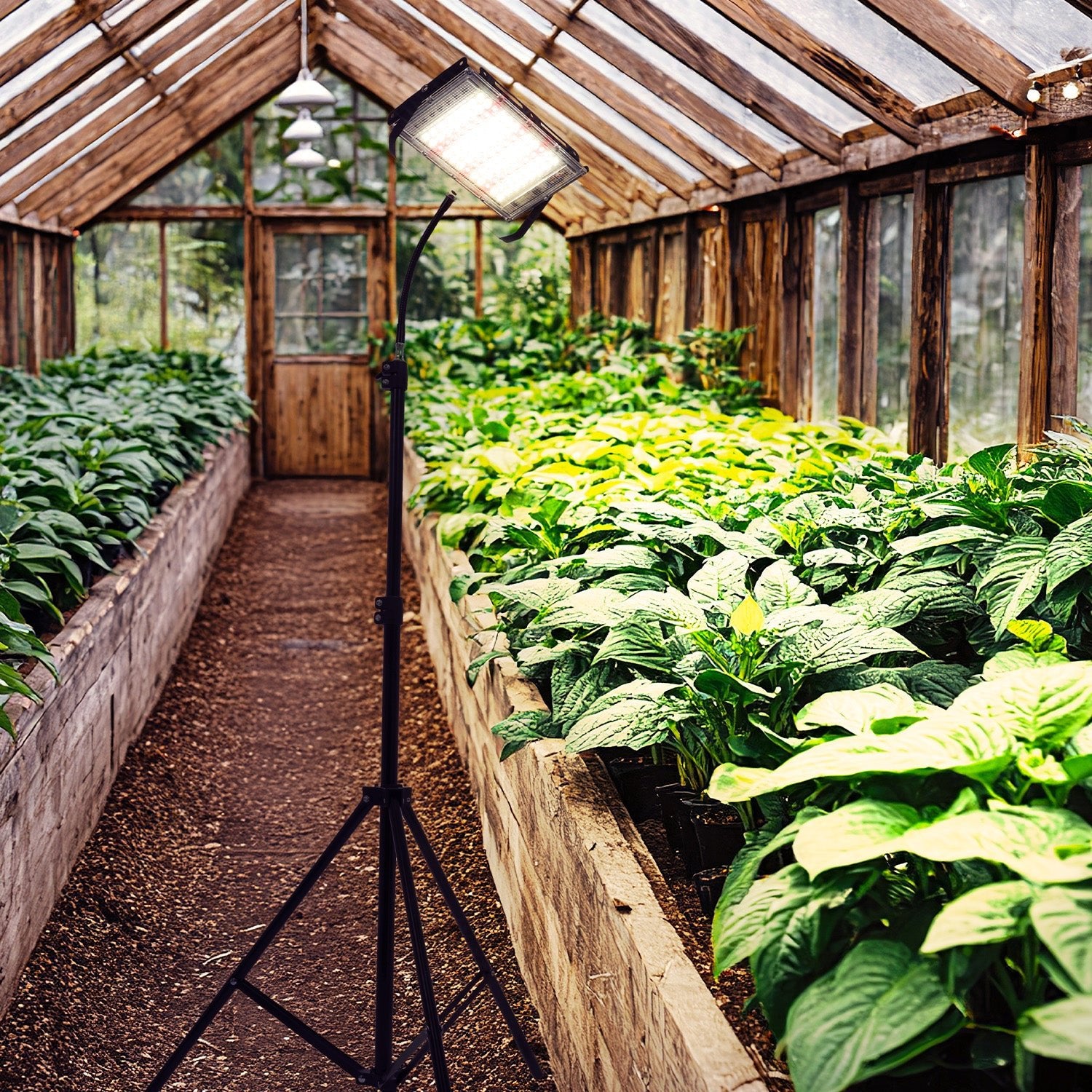 Lampa LED do roślin 45W na statywie, 5000K światło dzienne, 180° kąt świecenia, IP65 – doświetlanie roślin domowych i upraw - LAITICA