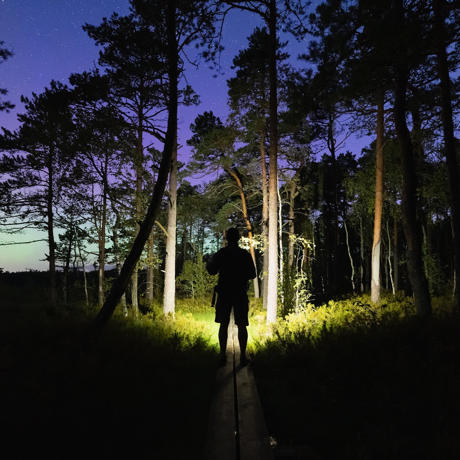 Latarka LED Robocza Warsztatowa Akumulator 500mAh USB - C 4 Tryby z Hakiem - LAITICA