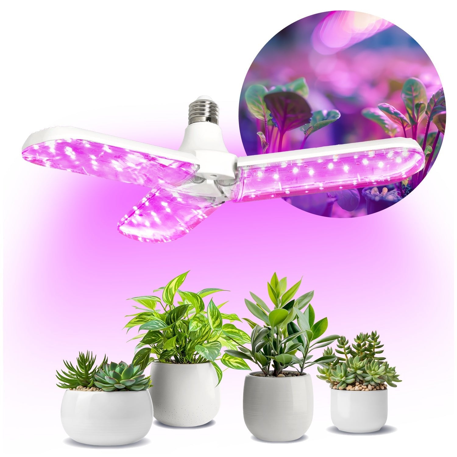 Żarówka Lampa Do Uprawy Wzrostu Roślin 24W E27 Oświetlenie LED - LAITICA